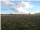 . Willis Lane, Yathella NSW 2650
