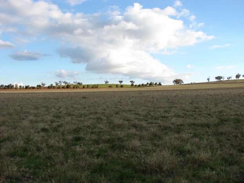 . Willis Lane, Yathella NSW 2650