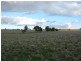 . Willis Lane, Yathella NSW 2650