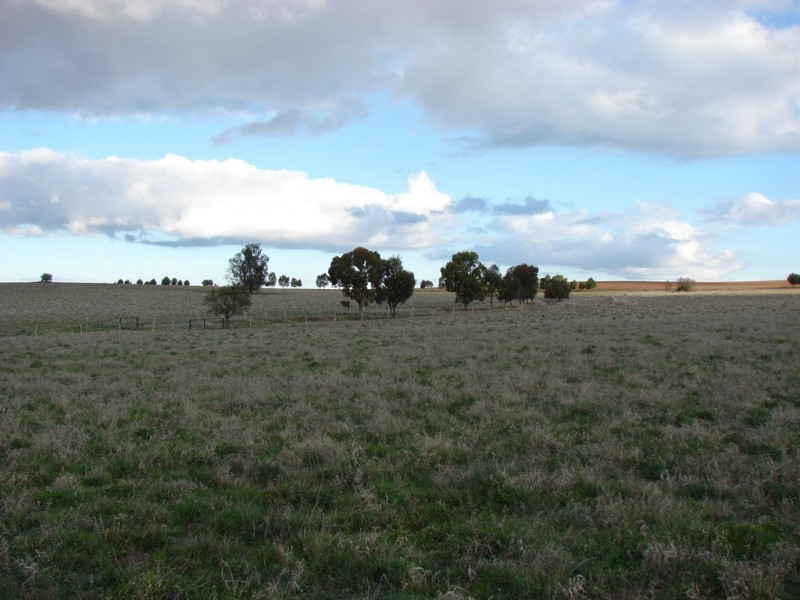 . Willis Lane, Yathella NSW 2650