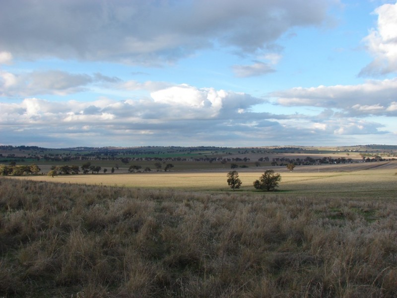 . Willis Lane, Yathella NSW 2650