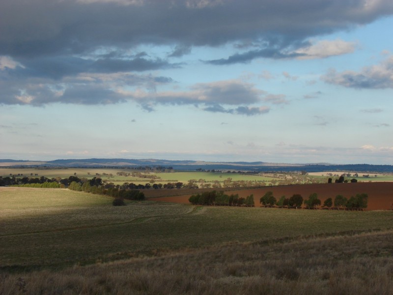 . Willis Lane, Yathella NSW 2650