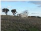 . Willis Lane, Yathella NSW 2650
