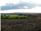 . Willis Lane, Yathella NSW 2650