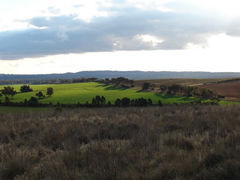 . Willis Lane, Yathella NSW 2650