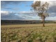 . Willis Lane, Yathella NSW 2650