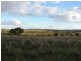 . Willis Lane, Yathella NSW 2650