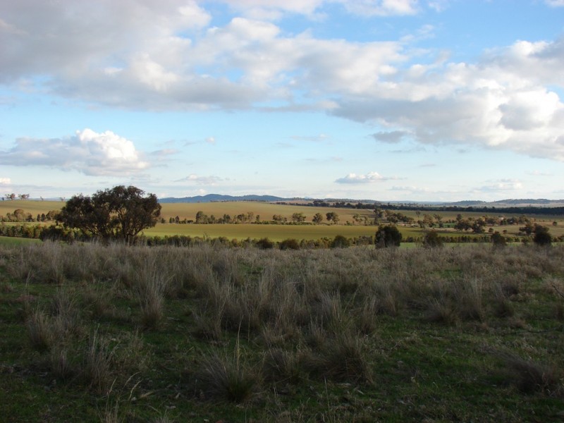 . Willis Lane, Yathella NSW 2650