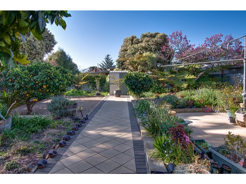 13 Killara Avenue, Mount Austin NSW 2650