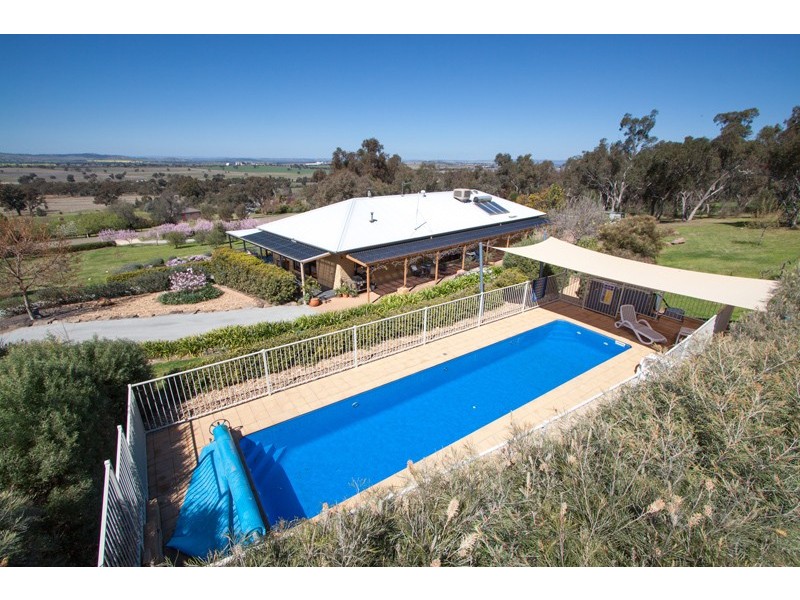 5 Brucedale Drive, Brucedale NSW 2650