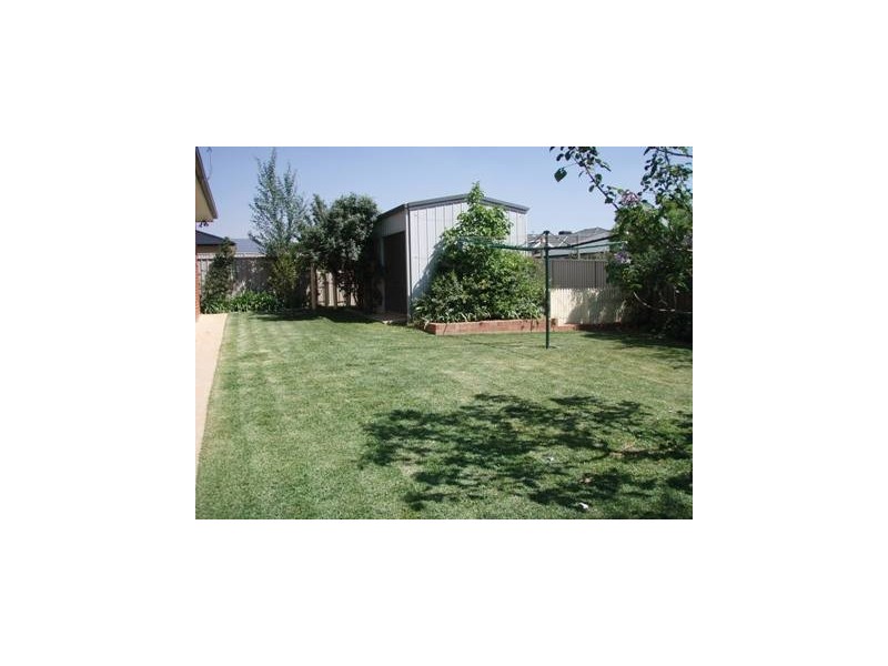 19 Cowan Place, Lloyd NSW 2650