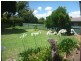 27 Malaya Drive, Tolland NSW 2650