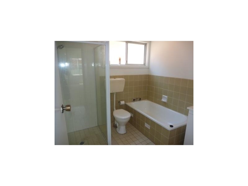 56 Collins Street, Wagga Wagga NSW 2650
