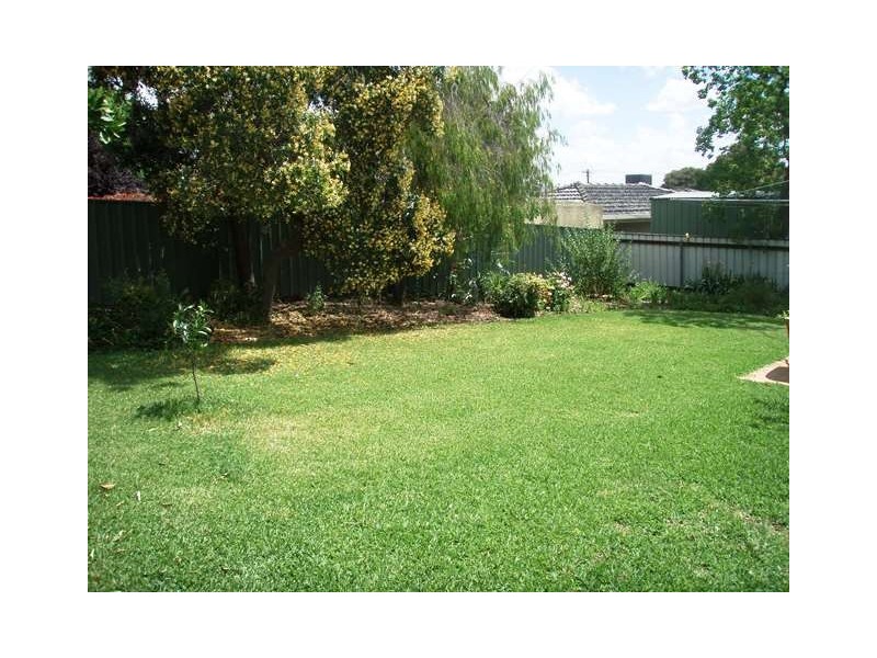 10 McCoullough Drive, Tolland NSW 2650