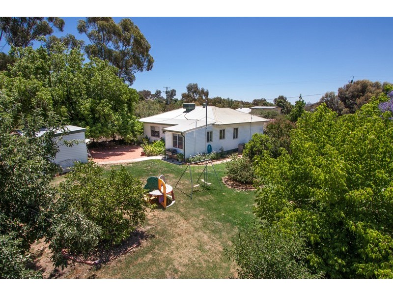 19 Benedict Avenue, San Isidore NSW 2650