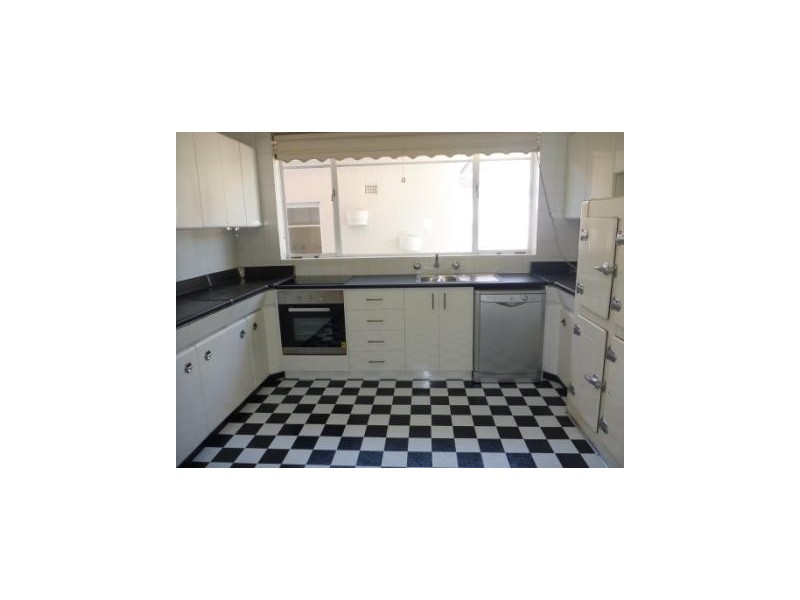 16 Trail Street, Wagga Wagga NSW 2650