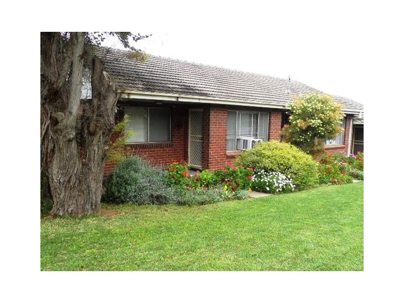 3/6 Wilson Street, Kooringal NSW 2650