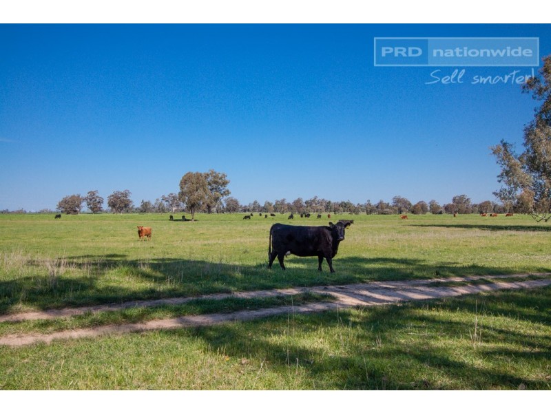‘Sarsfield Park’ 2070 Sturt Highway, Wagga Wagga NSW 2650