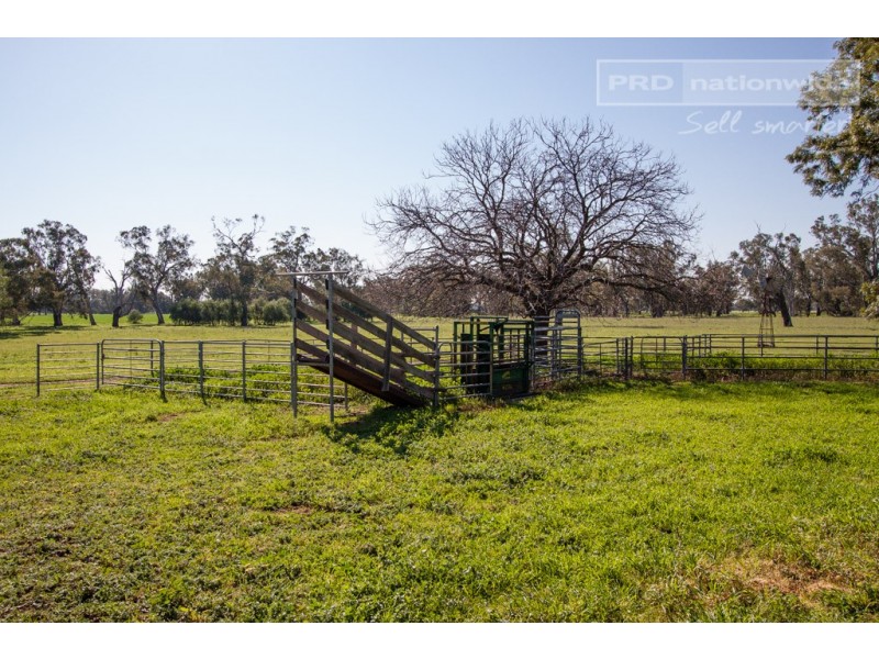‘Sarsfield Park’ 2070 Sturt Highway, Wagga Wagga NSW 2650