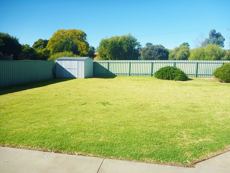 16 Boree Avenue, Forest Hill NSW 2651