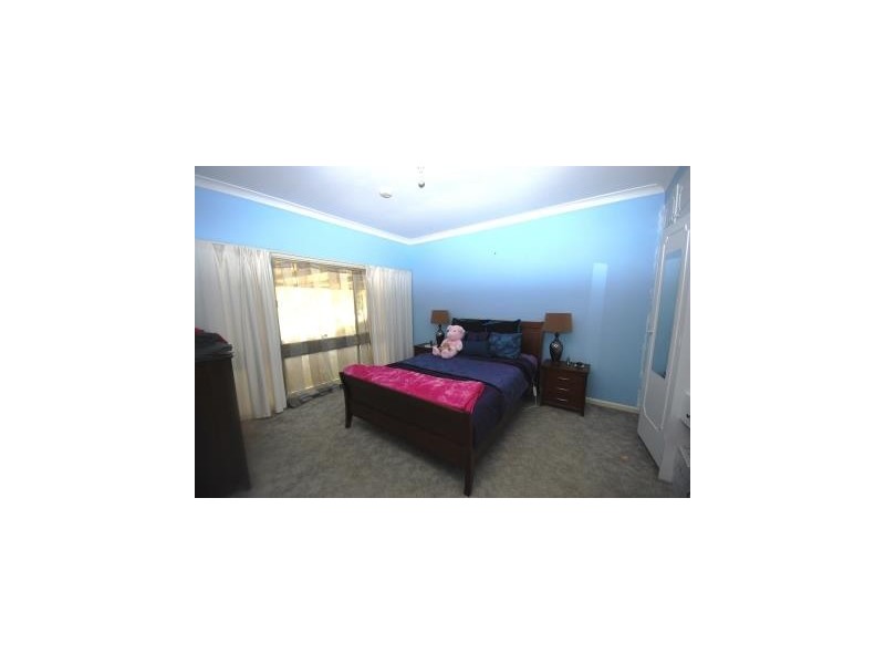 16 Mimosa Drive, Mount Austin NSW 2650