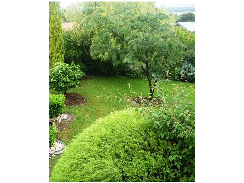 88 Henwood Avenue, Kooringal NSW 2650