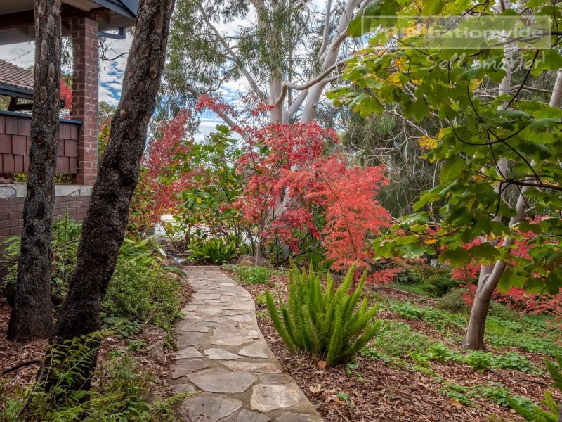 6 Andrews Avenue, Kooringal NSW 2650