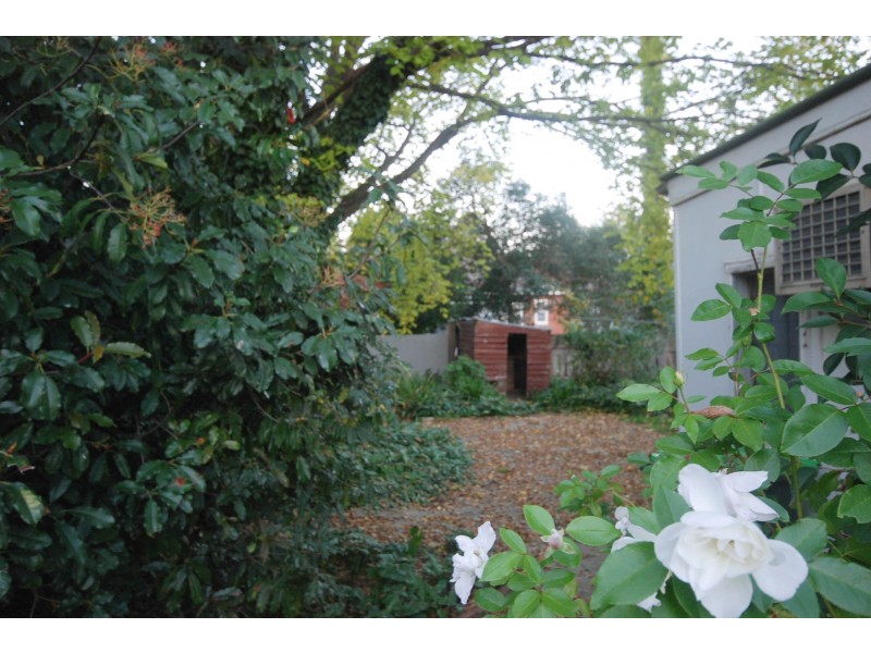 19 Morundah Street, Wagga Wagga NSW 2650