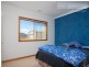 43 Tamar Drive, Tatton NSW 2650