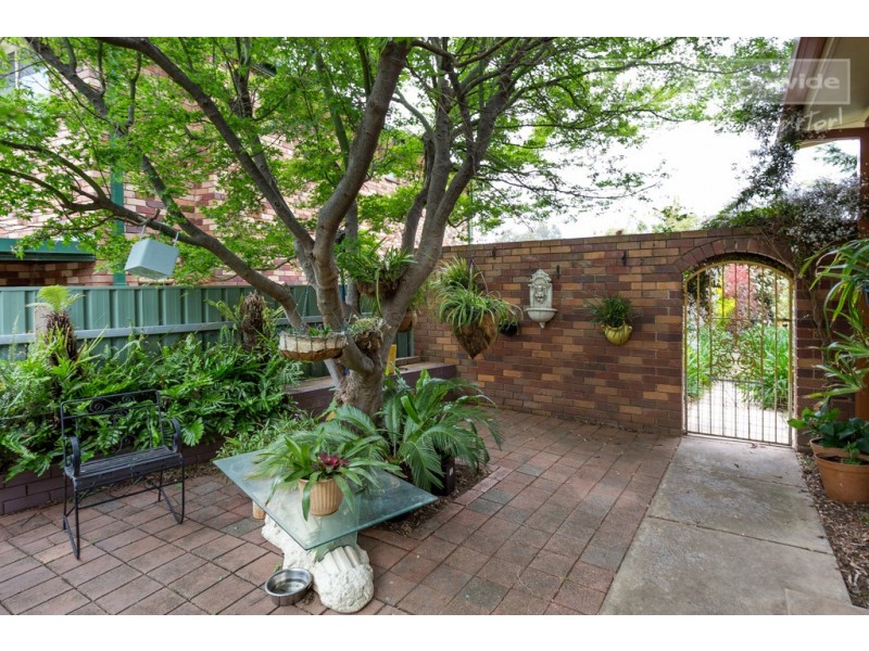 8 McCoullough Drive, Tolland NSW 2650