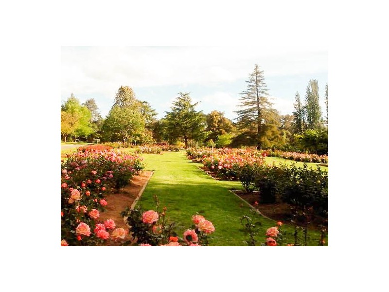 109 Macleay Street, Wagga Wagga NSW 2650