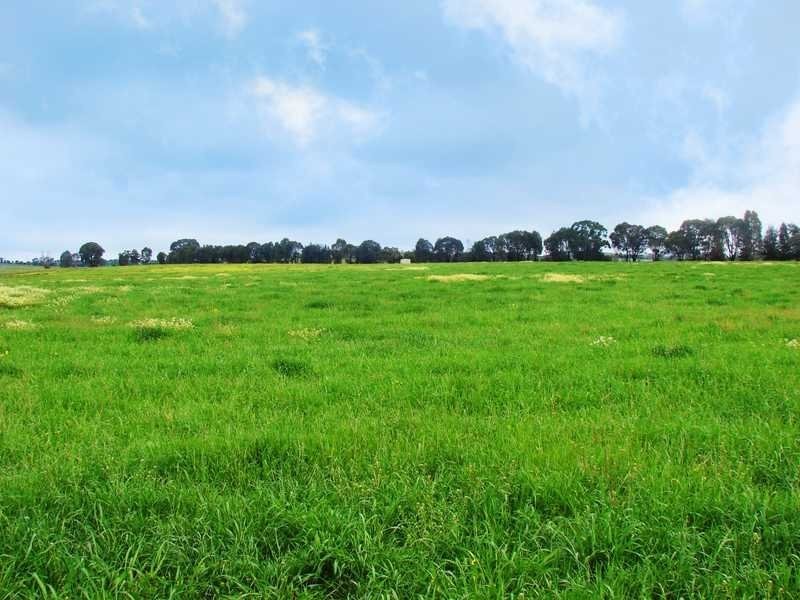 LOT 119 Sturt Highway, Wagga Wagga NSW 2650