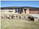1 Pinnacle Place, Estella NSW 2650