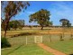 35 Bussenschutts Lane, Wagga Wagga NSW 2650
