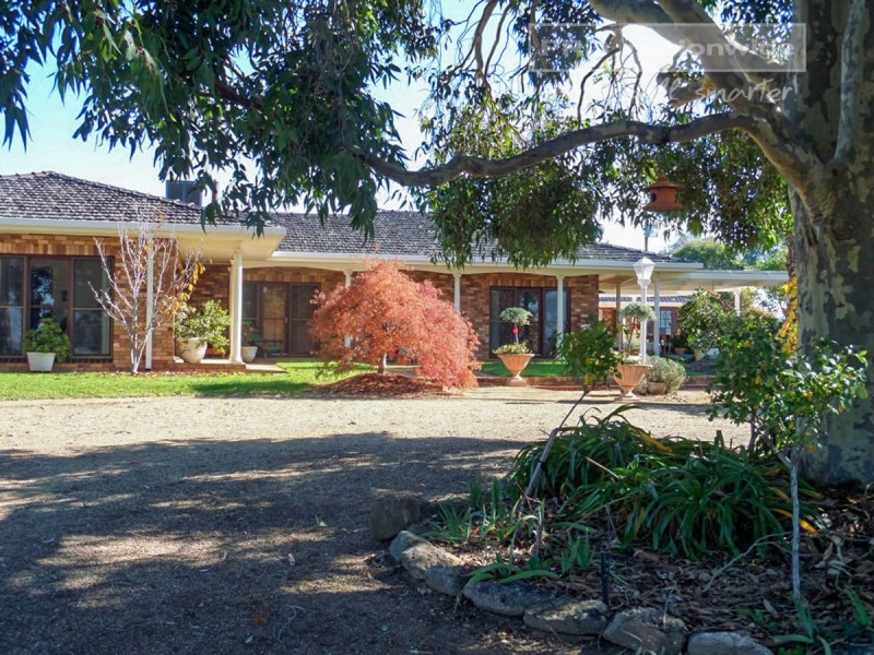 537 O’Briens Creek Road, Big Springs NSW 2650