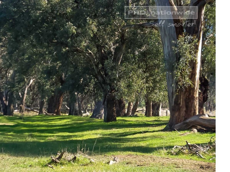 537 O’Briens Creek Road, Big Springs NSW 2650