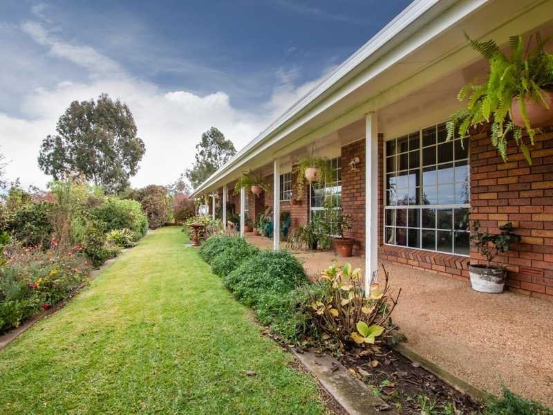 96 River Road, Alfredtown NSW 2650