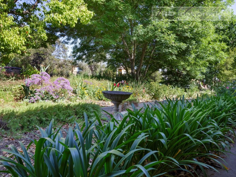 17 Churchill Avenue, Kooringal NSW 2650