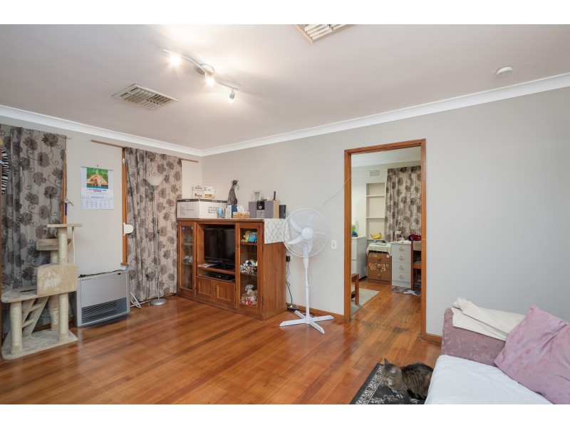 19 Tarakan Avenue, Ashmont NSW 2650
