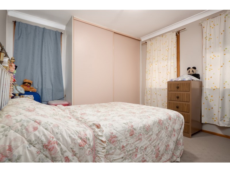 19 Tarakan Avenue, Ashmont NSW 2650