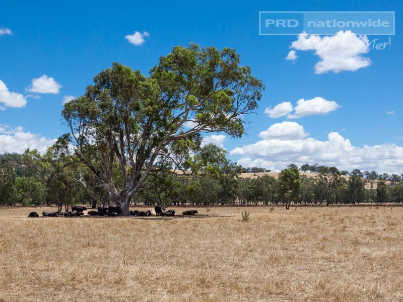 86 Roach Road, Moorong NSW 2650