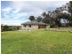793 Livingstone Gully Road, Big Springs NSW 2650