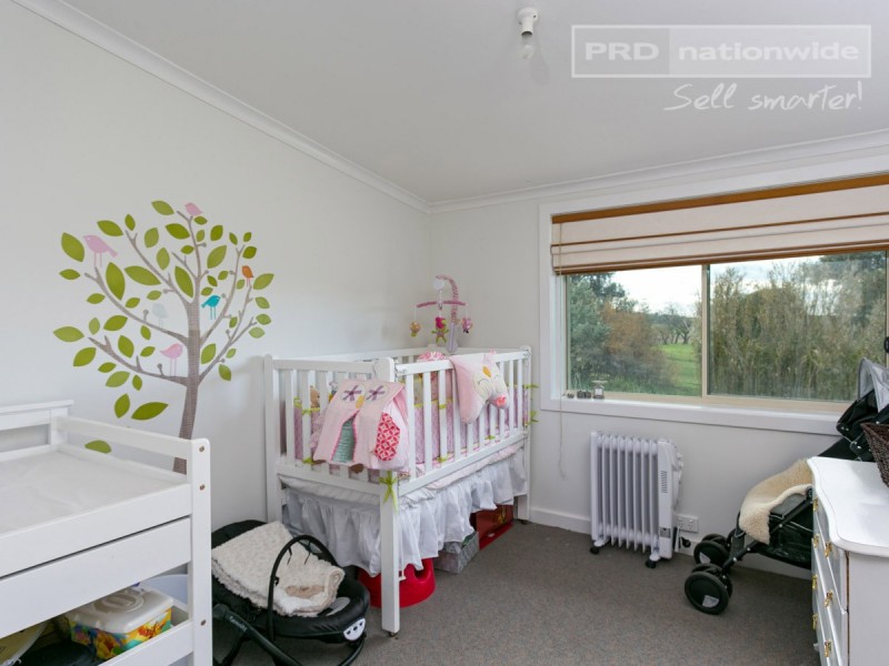 793 Livingstone Gully Road, Big Springs NSW 2650