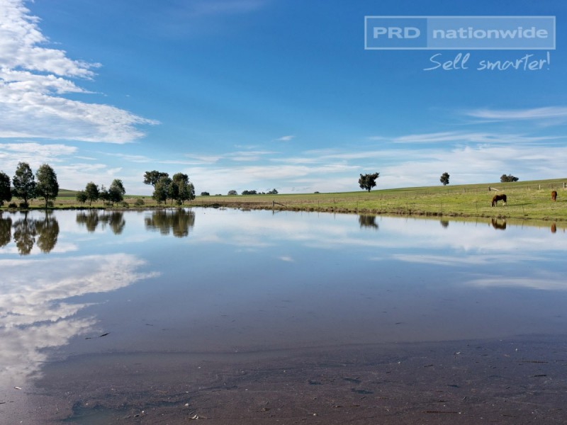 793 Livingstone Gully Road, Big Springs NSW 2650