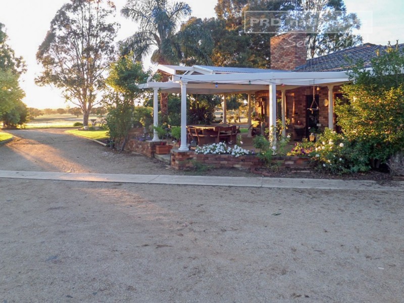 537 O’Briens Creek Road, Big Springs NSW 2650