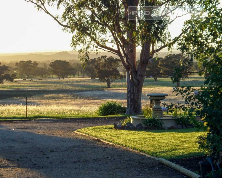 537 O’Briens Creek Road, Big Springs NSW 2650