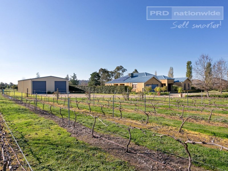 6 Hovea Place, Springvale NSW 2650