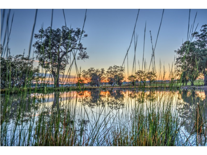 1 Mangrove Crescent, Forest Hill NSW 2651