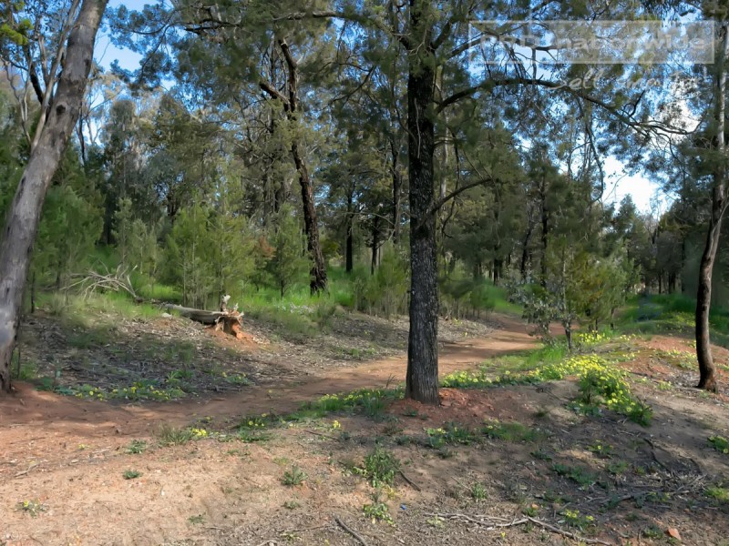 21 Kansas Drive, Tolland NSW 2650