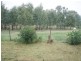 - Kia Ora Down, Old Narandera Rd, Euberta NSW 2650